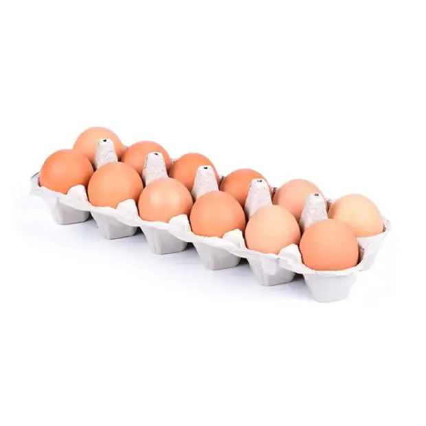 DOCENA HUEVOS COLOR EXTRA 12 UN