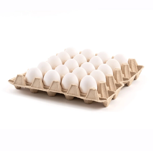 BANDEJA HUEVOS BLANCO JUMBO 20 UN