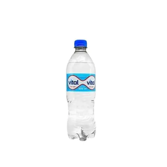 VITAL GASIFICADA 600 CC