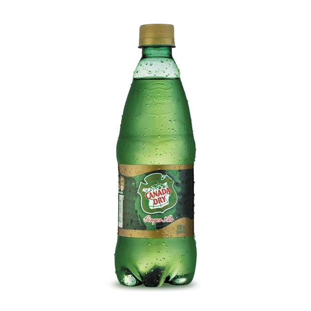 BEBIDA GINGER ALE 600 CC