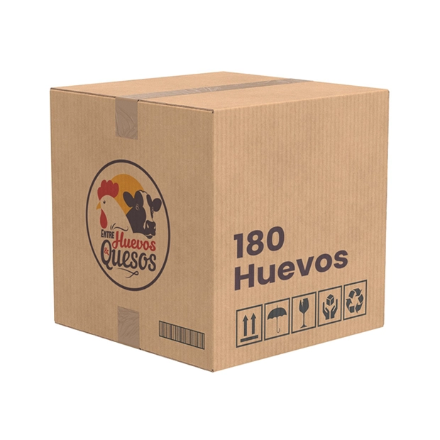 [44104] CAJA HUEVOS COLOR EXTRA 180 UN