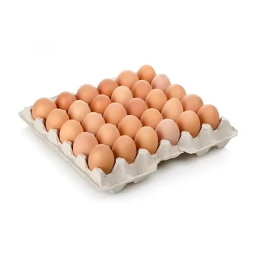[44111] BANDEJA HUEVOS COLOR PRIMERA 30 UN