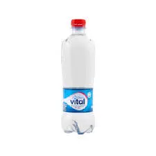 [67899888000767] VITAL SIN GAS 600 CC