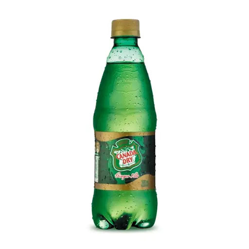 [73018] BEBIDA GINGER ALE 600 CC