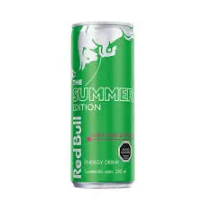 [70076237293533] RED BULL FRUTA DEL DRAGON 250 CC